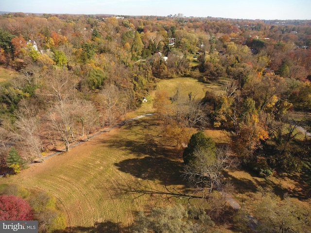 drone / aerial view