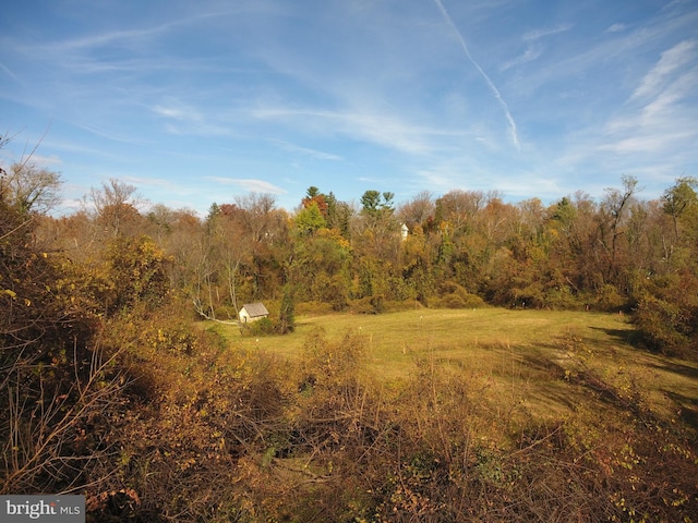 view of nature