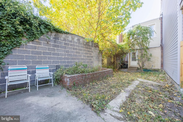 view of yard with a patio area