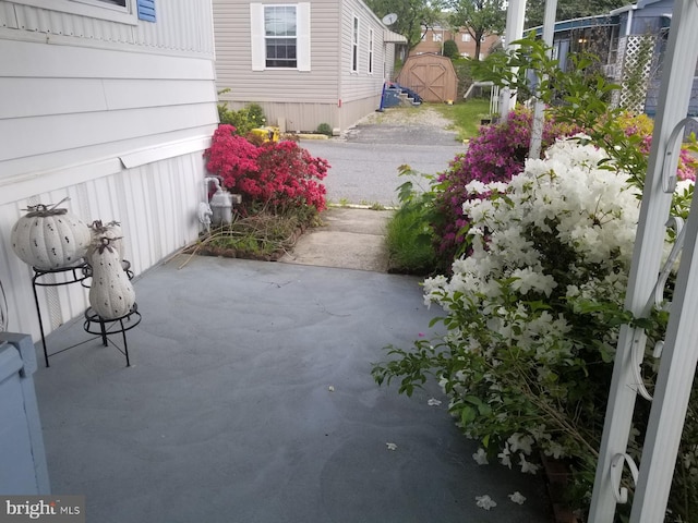 view of patio / terrace with a shed