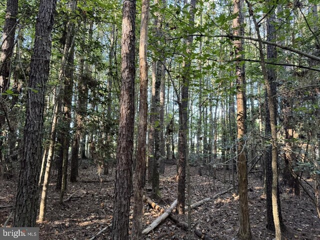 Rivers Mill Rd, Capron, VA 23829