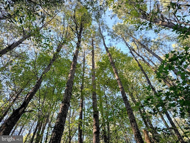 Rivers Mill Rd, Capron, VA 23829
