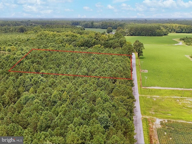 Rivers Mill Rd, Capron, VA 23829