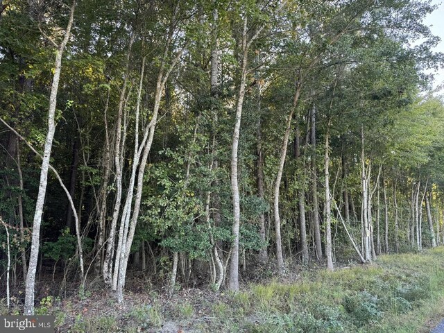Rivers Mill Rd, Capron, VA 23829