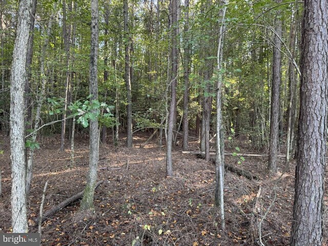 Rivers Mill Rd, Capron, VA 23829