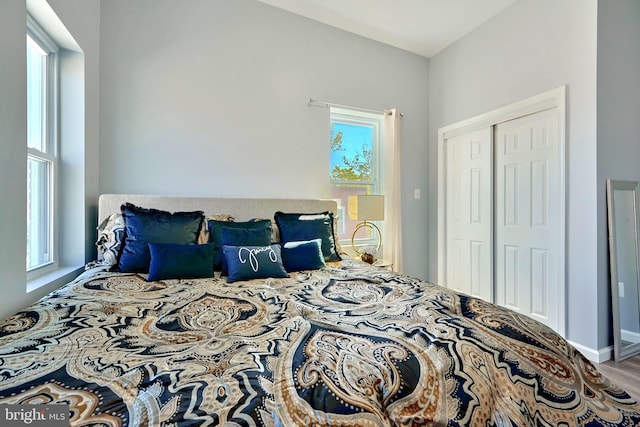 bedroom with multiple windows, hardwood / wood-style flooring, and a closet