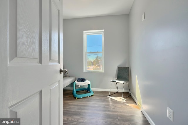 sitting room with wood-type flooring