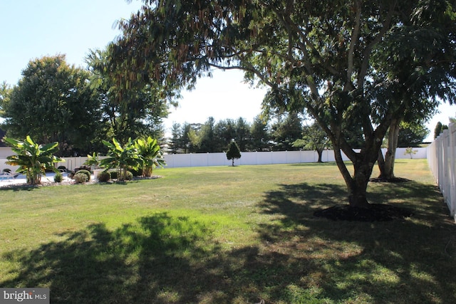 view of yard featuring a fenced backyard