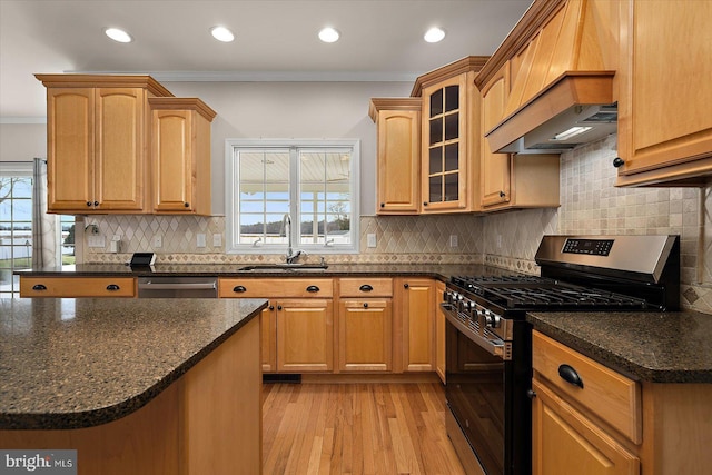 kitchen with custom range hood, stainless steel appliances, crown molding, light wood-type flooring, and a sink