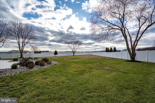 view of yard with a fenced backyard