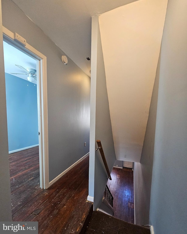 stairs featuring hardwood / wood-style floors and ceiling fan