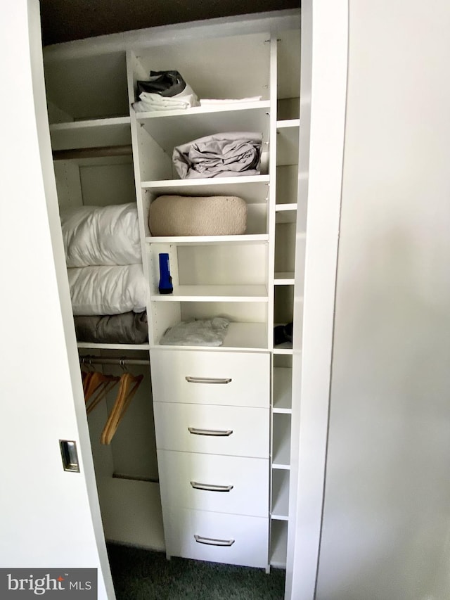 view of closet