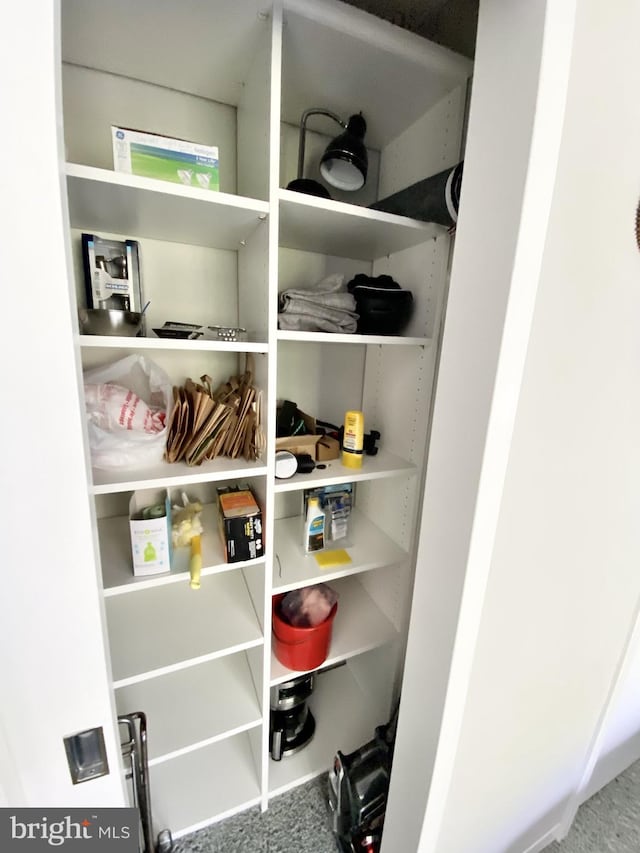 view of closet