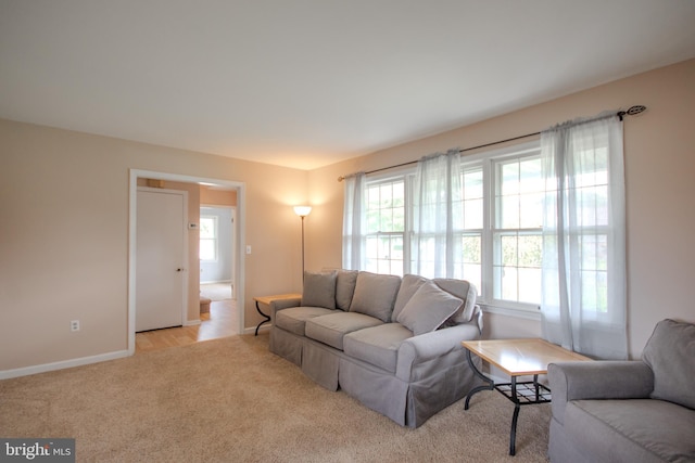 carpeted living room with a wealth of natural light