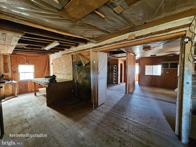 basement with hardwood / wood-style floors and plenty of natural light