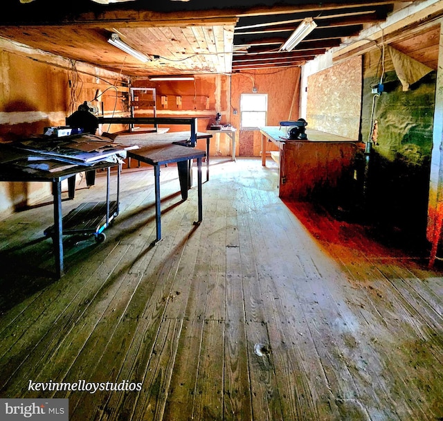 basement featuring hardwood / wood-style flooring