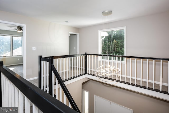 hallway with carpet flooring and a healthy amount of sunlight