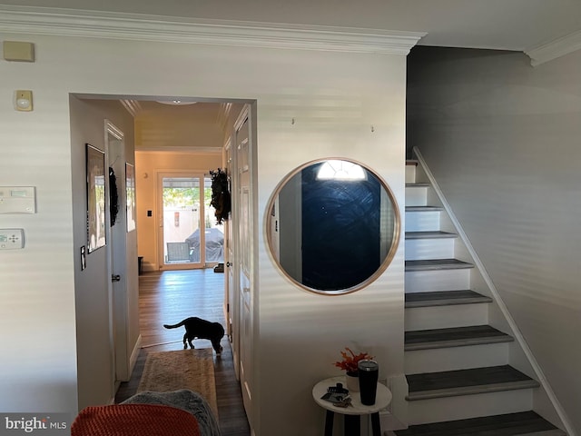 hallway featuring ornamental molding and hardwood / wood-style flooring