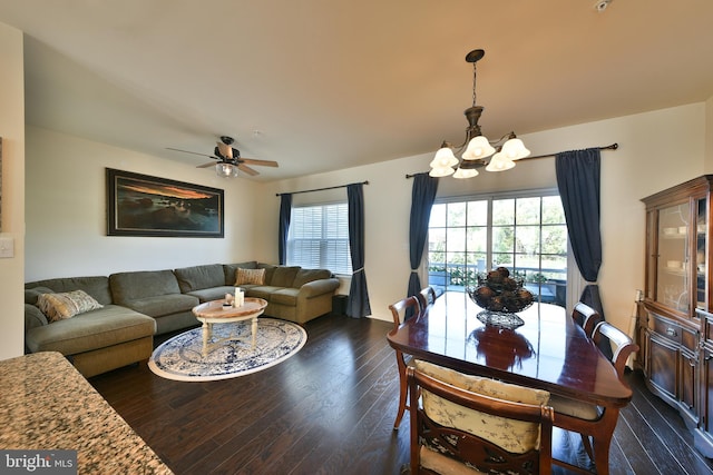 dining space with dark hardwood / wood-style floors and ceiling fan with notable chandelier