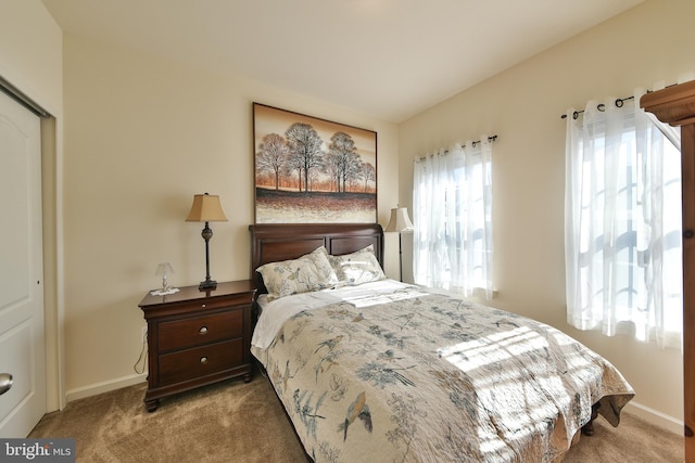 bedroom featuring carpet floors and a closet