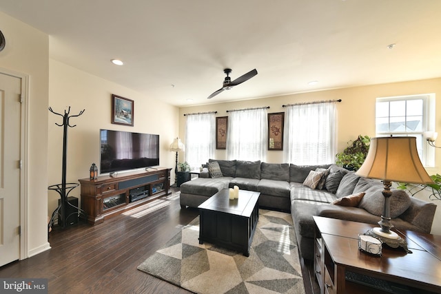 living room with ceiling fan and dark hardwood / wood-style flooring