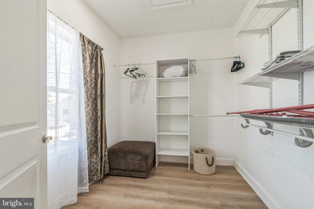 spacious closet with hardwood / wood-style floors