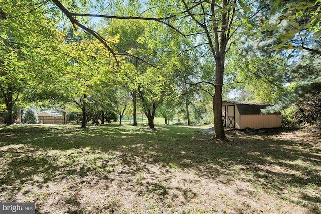 view of yard with a shed