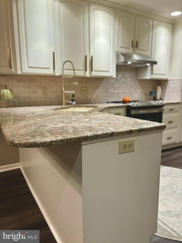 kitchen featuring light stone countertops, dark wood-type flooring, sink, and decorative backsplash