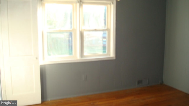 empty room featuring wood-type flooring