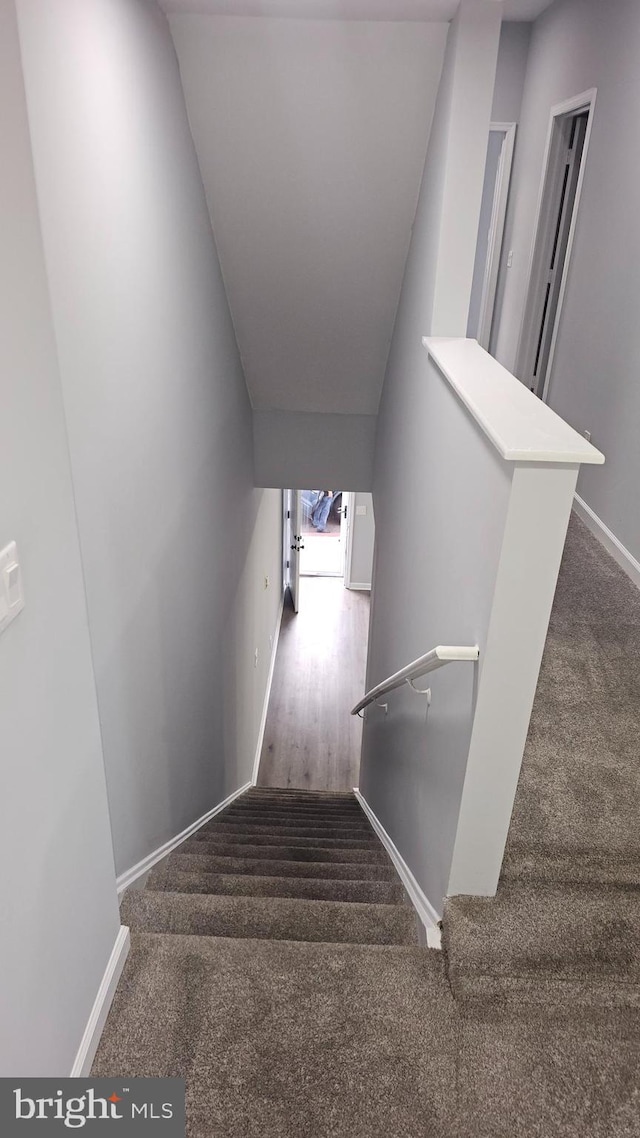 staircase featuring carpet floors and vaulted ceiling