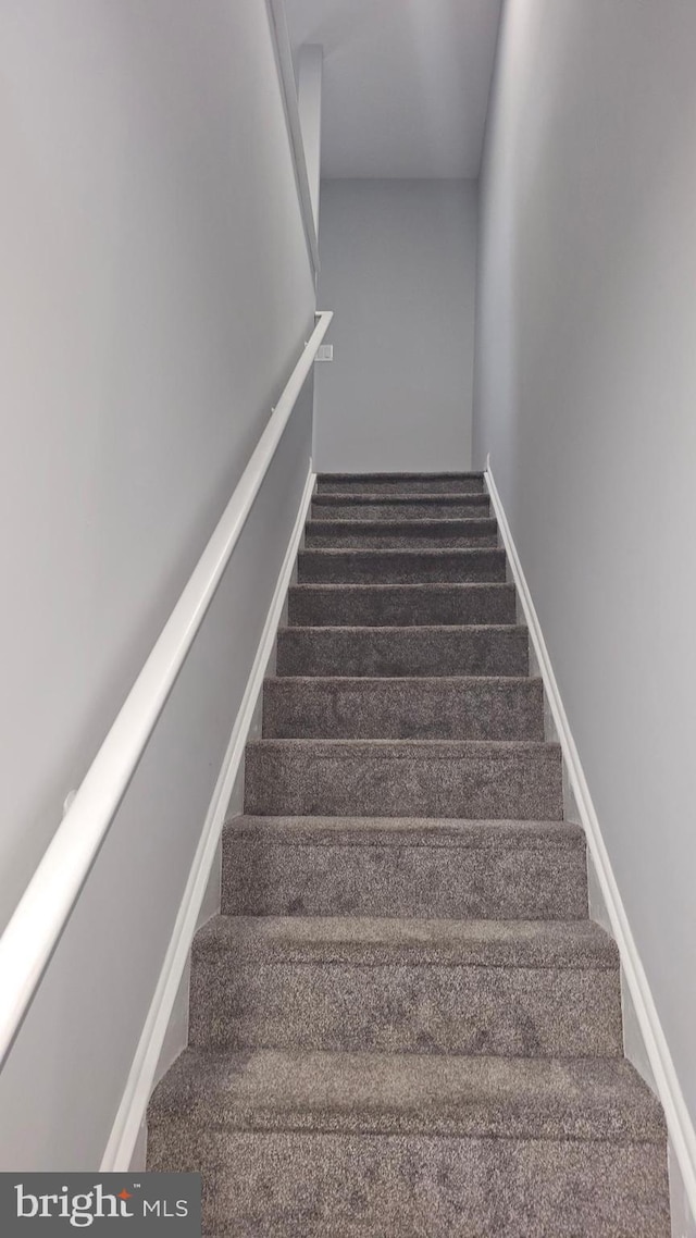 stairs featuring carpet