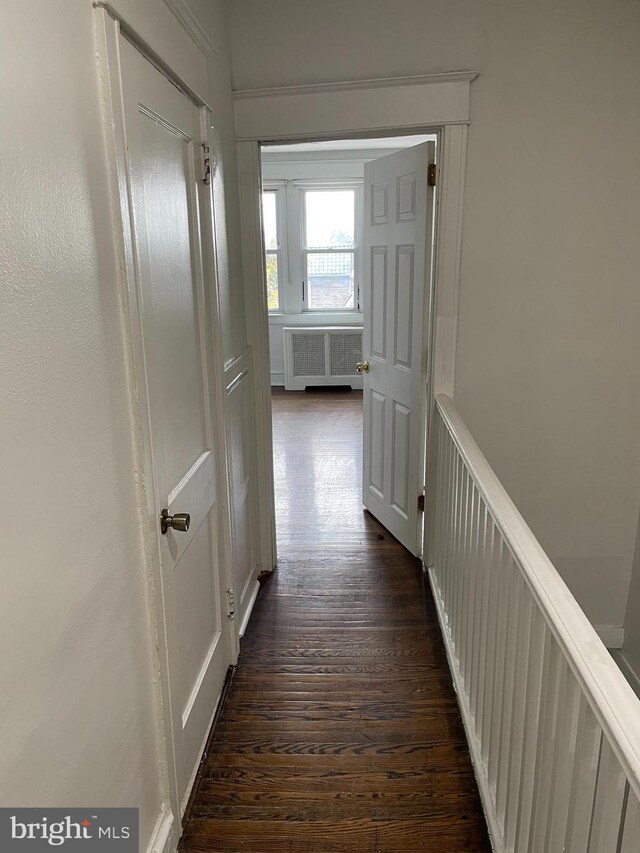 hallway featuring radiator and dark wood-type flooring