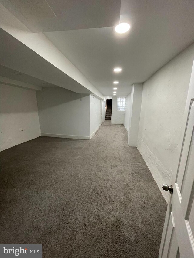 basement with carpet