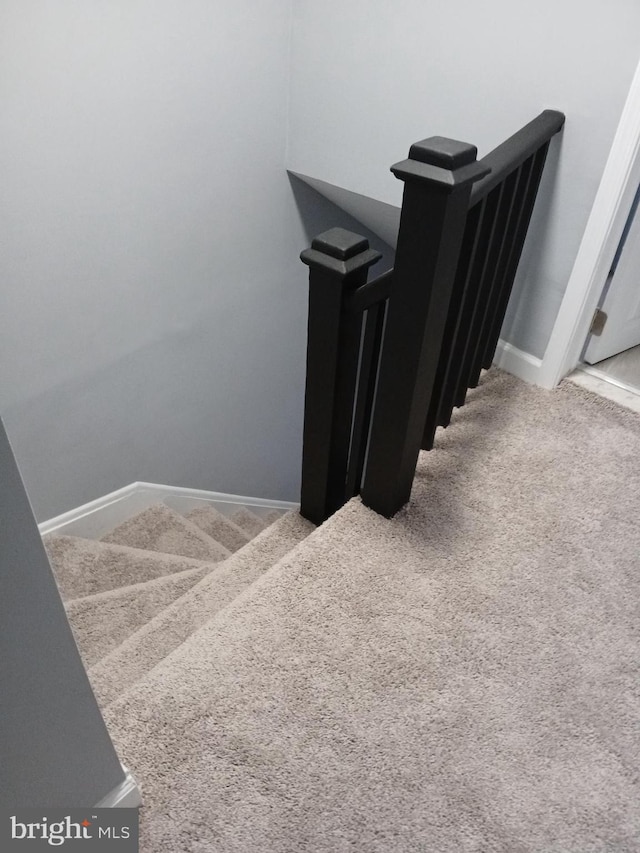 stairs featuring carpet floors