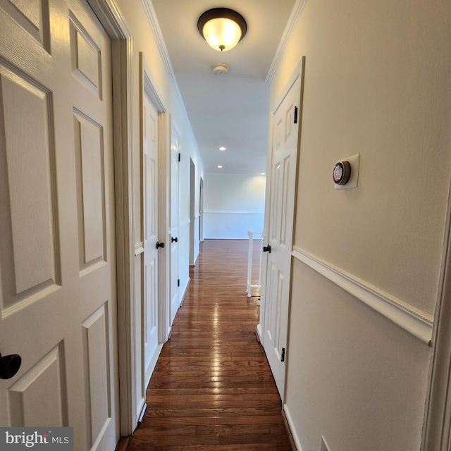 hallway with dark hardwood / wood-style flooring and ornamental molding