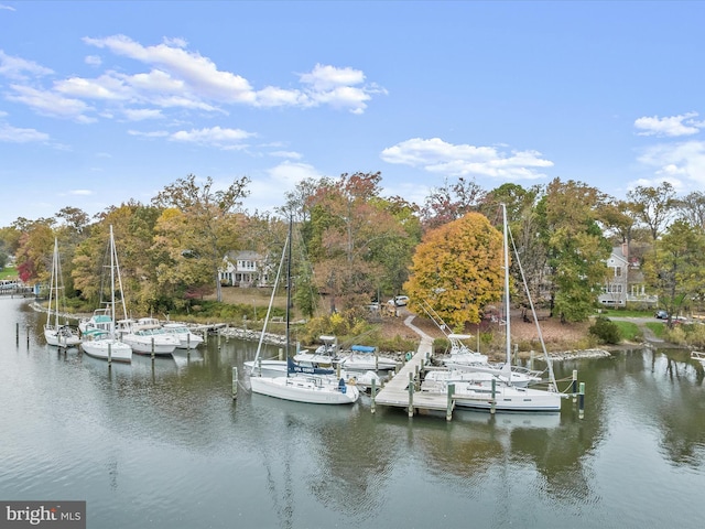 dock area featuring a water view