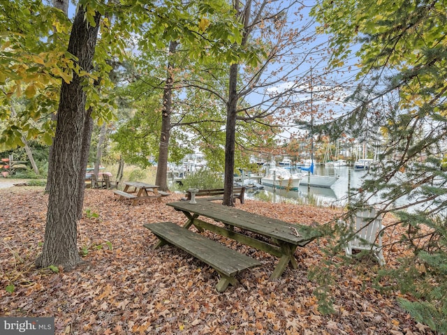 view of home's community with a dock and a water view