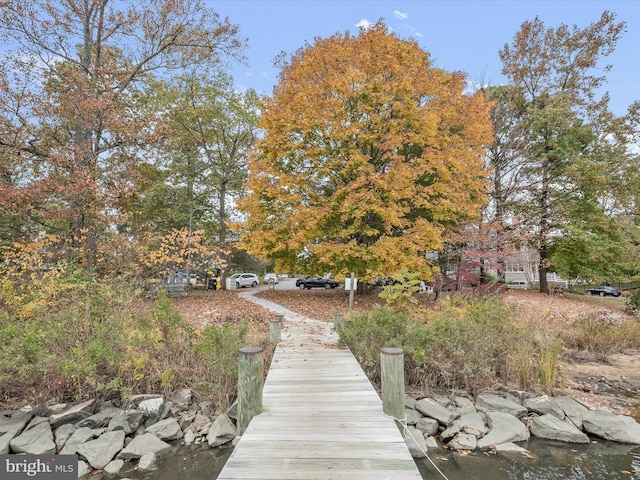 dock area featuring a water view