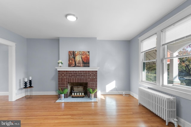 living room with light hardwood / wood-style floors, radiator heating unit, and a fireplace