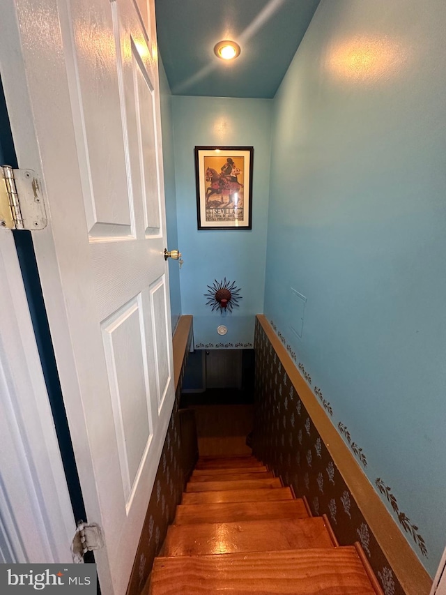 staircase with hardwood / wood-style flooring