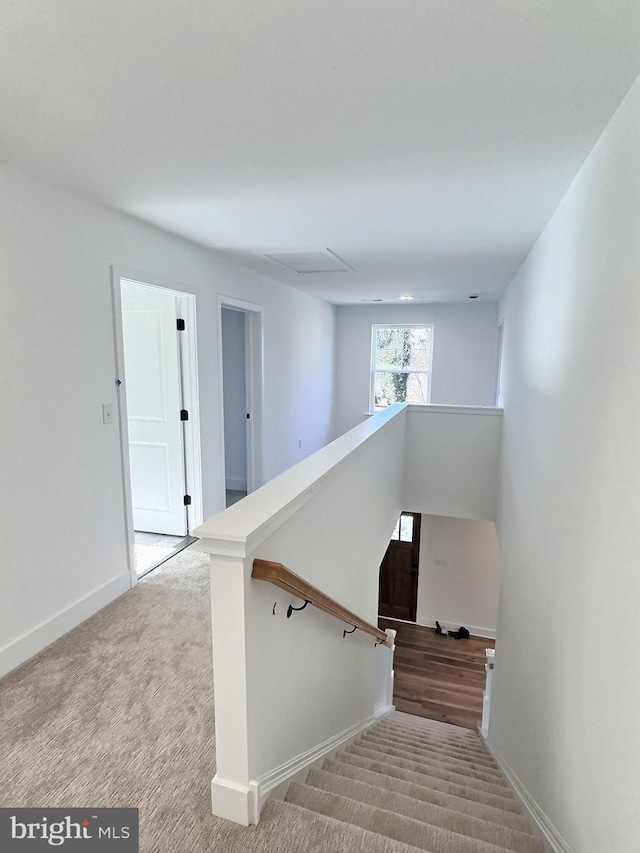 LOT9 Fortuna Dr, Hatfield, PA 19440 - stairway featuring baseboards and carpet flooring