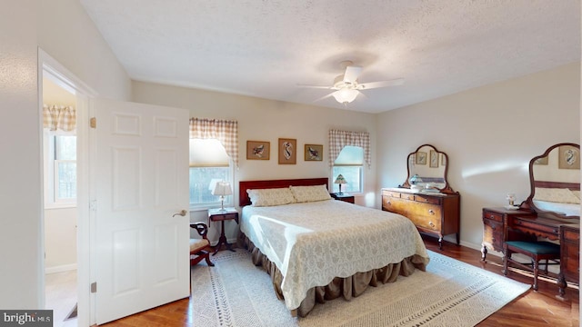 bedroom featuring a textured ceiling, multiple windows, and wood finished floors