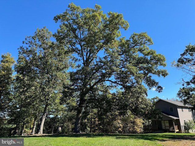 view of yard featuring covered porch