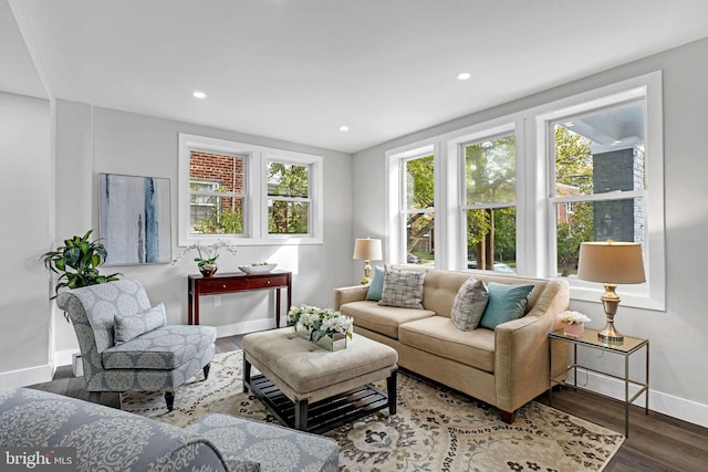 living room featuring hardwood / wood-style floors and plenty of natural light