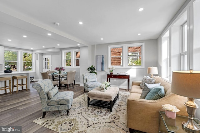 living room with hardwood / wood-style floors