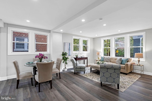 living room with dark hardwood / wood-style floors