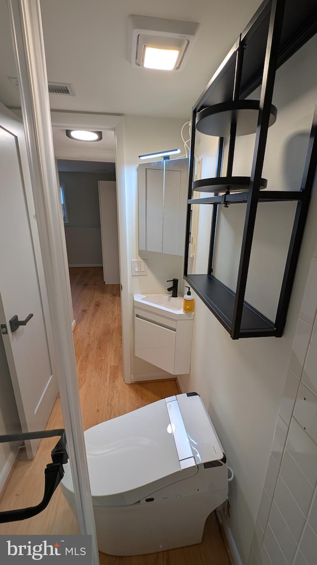 bathroom with wood-type flooring and vanity