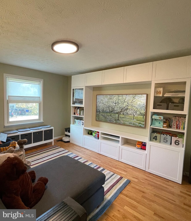 living room with a textured ceiling and light hardwood / wood-style flooring