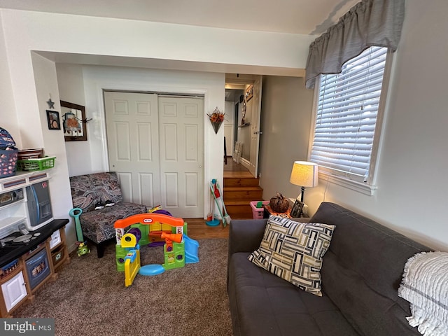 playroom featuring dark hardwood / wood-style floors