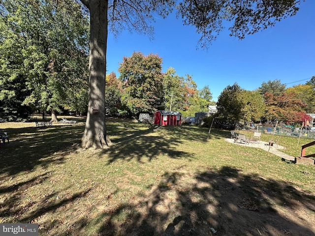 view of yard with a storage shed